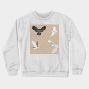 Soaring Owls Peach Crewneck Sweatshirt